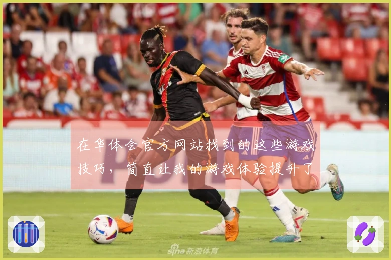 在华体会官方网站找到的这些游戏技巧，简直让我的游戏体验提升了一个档次！