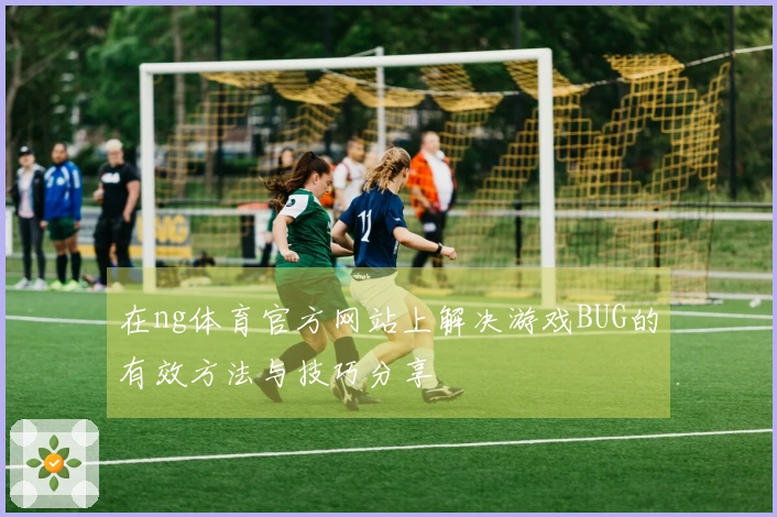 在ng体育官方网站上解决游戏BUG的有效方法与技巧分享